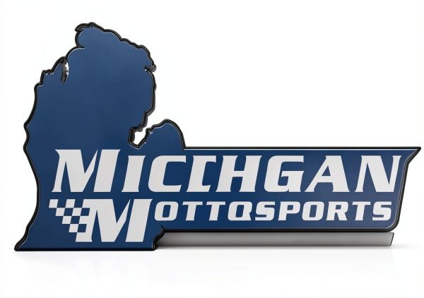 LS Head Bolt Kit Michigan Motorsports Alloy Steel-6